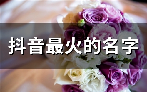 抖音最火的名字(精选260个)(抖音最火的名字女生霸气旺财三个字)