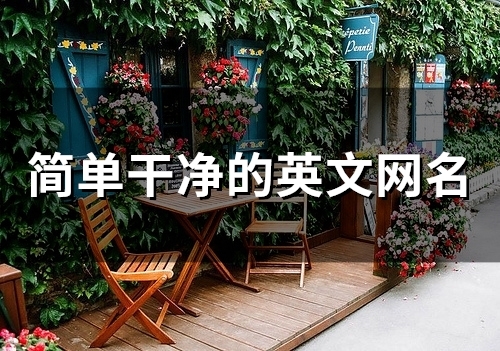 简单干净的英文网名(精选296个)(简单干净的英文微信名)