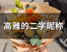 高雅的二字昵称(精选154个)