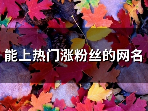 能上热门涨粉丝的网名(409个) 能上热门涨粉丝的网名(409个)