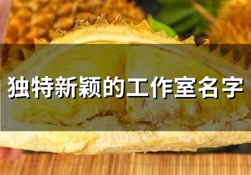 独特新颖的工作室名字(118个)(独特新颖的工作有哪些)