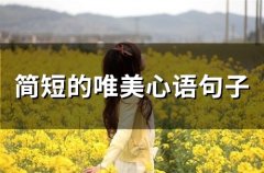 简短的唯美心语句子(精选66句)