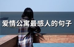 爱情公寓最感人的句子(36句)
