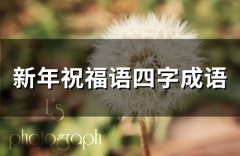 新年祝福语四字成语(62句)