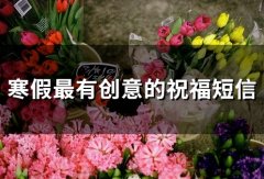 寒假最有创意的祝福短信(41句)