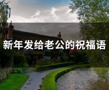 新年发给老公的祝福语(50句)