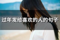 过年发给喜欢的人的句子(37句)