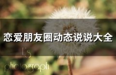 恋爱朋友圈动态说说大全(66句)