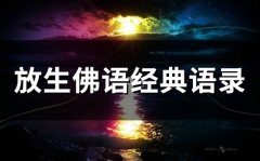 放生佛语经典语录(精选26句)