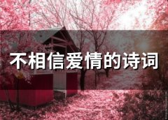 不相信爱情的诗词(66句)
