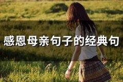 感恩母亲句子的经典句(精选65句)