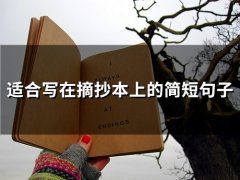 适合写在摘抄本上的简短句子(精选93句)