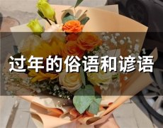 过年的俗语和谚语(26句)