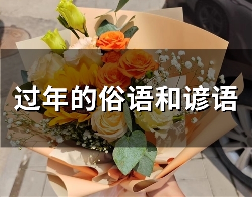 过年的俗语和谚语(26句) 过年的俗语和谚语(26句)