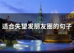 适合失望发朋友圈的句子(66句)