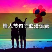 情人节句子浪漫语录(65句)