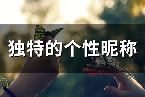 独特的个性昵称(精选327个)(独特的个性昵称英文)