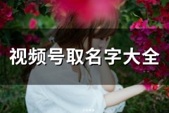 视频号取名字大全(精选61个)