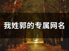 我姓郭的专属网名(75个)