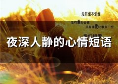 夜深人静的心情短语(66句)