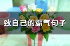 致自己的霸气句子(56句)