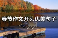 春节作文开头优美句子(精选31句)