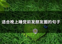适合晚上睡觉前发朋友圈的句子(精选67句)