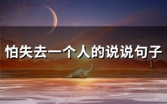 怕失去一个人的说说句子(76句)