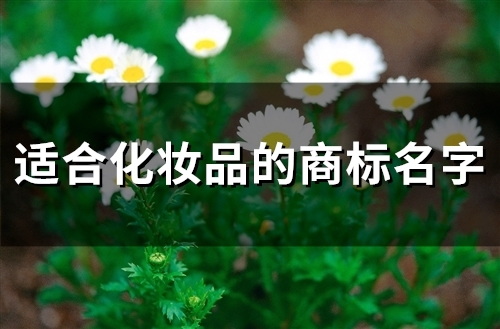 适合化妆品的商标名字(精选210个)