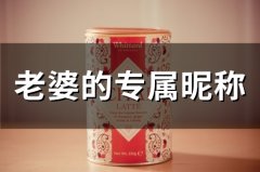 老婆的专属昵称(91个)