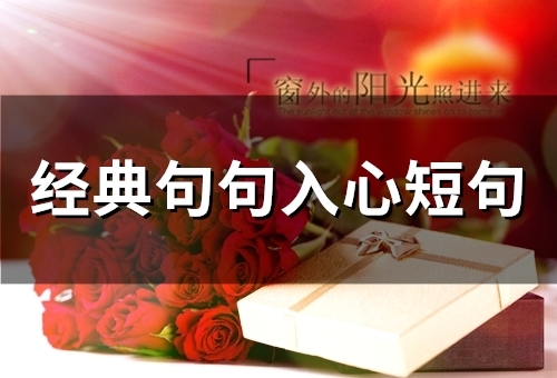 经典句句入心短句(精选65句)