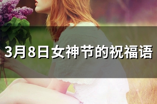 3月8日女神节的祝福语(精选37句) 3月8日女神节的日记