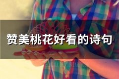 赞美桃花好看的诗句(精选34句)