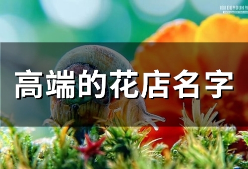 高端的花店名字(精选187个)(高端的花店名字带野)