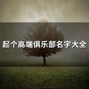 起个高端俱乐部名字大全(精选90个)