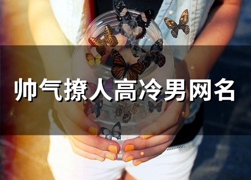 帅气撩人高冷男网名(232个)(帅气撩人高冷男网名二字)