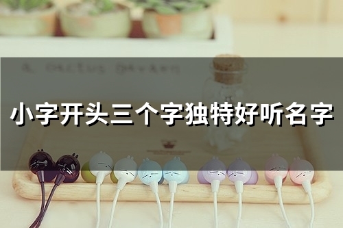 小字开头三个字独特好听名字(精选44个)(小字开头三个字情侣名)
