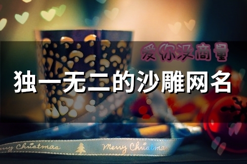 独一无二的沙雕网名(精选110个)(独一无二的沙雕队名)