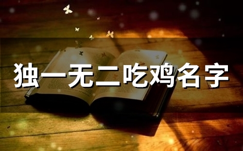 独一无二吃鸡名字(149个)(独一无二吃鸡名字霸气)