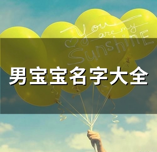 男宝宝名字大全(精选63个)(男宝宝名字大全2023属兔8月出生)