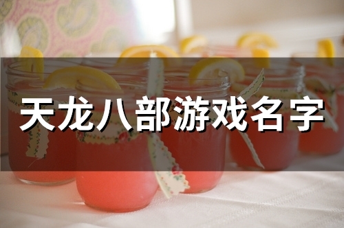 天龙八部游戏名字(236个)(天龙八部游戏名字女)