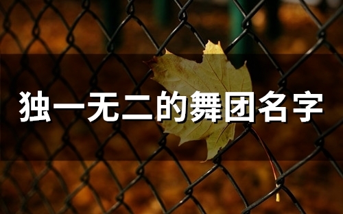 独一无二的舞团名字(66个)(独一无二的舞团叫什么)