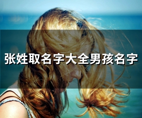 张姓取名字大全男孩名字(精选414个)(张姓取名字大全男孩免费)