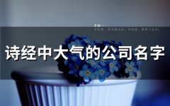 诗经中大气的公司名字(精选26个)