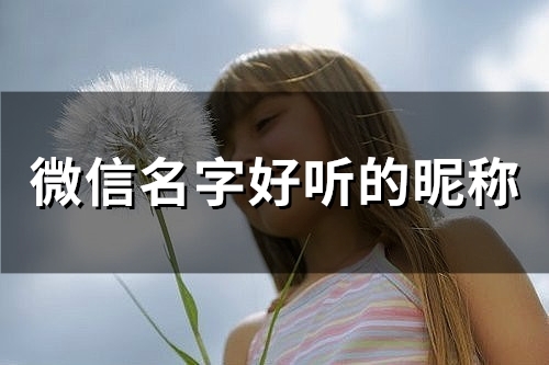 微信名字好听的昵称(656个)(微信名字好听的昵称女生)