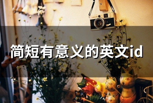 简短有意义的英文id(182个) 简短有意义的英文id女