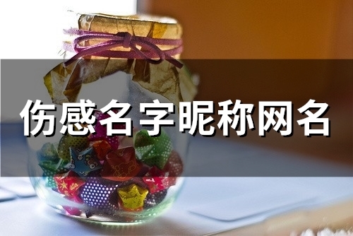 伤感名字昵称网名(176个)(伤感名字昵称网名男生)