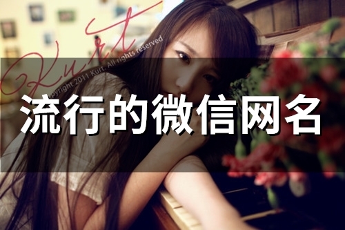 流行的微信网名(精选140个)(流行的微信网名4个字)