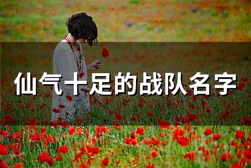 仙气十足的战队名字(精选73个)(仙气十足的战队名王者)
