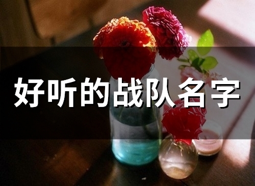 好听的战队名字(精选131个)(使命召唤好听的战队名字)